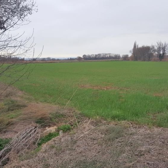  JANSANA IMMOBILIER : Ground | NARBONNE (11100) | 19 460 m2 | 45 000 € 