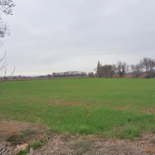  JANSANA IMMOBILIER : Ground | NARBONNE (11100) | 19 460 m2 | 45 000 € 