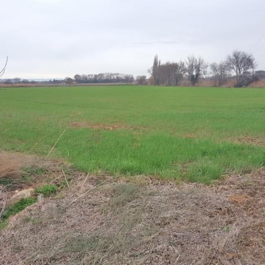 JANSANA IMMOBILIER : Terrain | NARBONNE (11100) | 19460.00m2 | 45 000 € 
