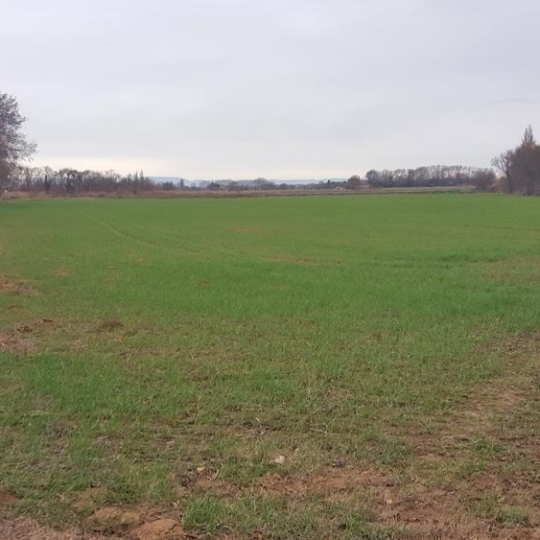  JANSANA IMMOBILIER : Ground | NARBONNE (11100) | 19 460 m2 | 45 000 € 