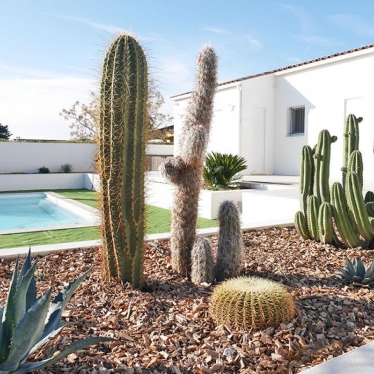 JANSANA IMMOBILIER : Maison / Villa | MIREPEISSET (11120) | 152.00m2 | 445 000 € JANSANA IMMOBILIER : Maison / Villa | MIREPEISSET (11120) | 152.00m2 | 445 000 €