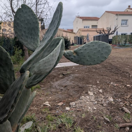  JANSANA IMMOBILIER : Terrain | NARBONNE (11100) | 0 m2 | 134 000 € 