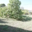  JANSANA IMMOBILIER : Maison / Villa | MONTSERET (11200) | 125 m2 | 159 000 € 