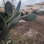  JANSANA IMMOBILIER : Terrain | NARBONNE (11100) | 0 m2 | 134 000 € 