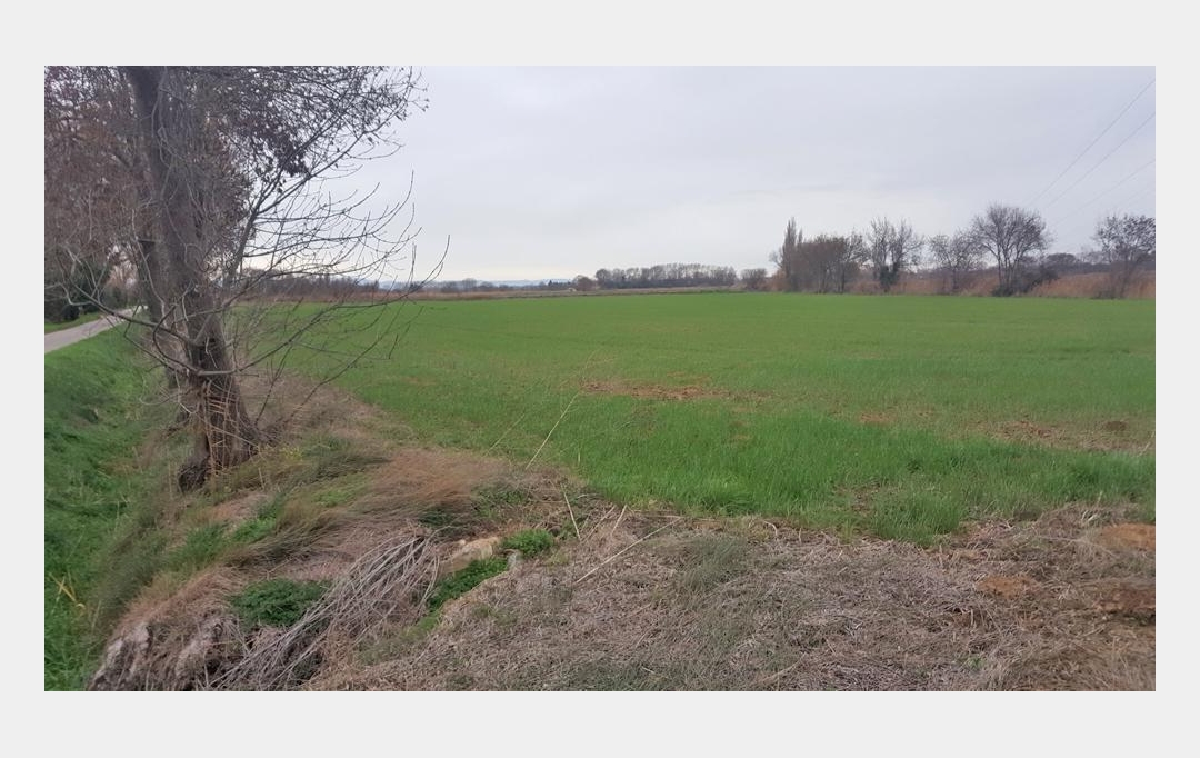 JANSANA IMMOBILIER : Ground | NARBONNE (11100) | 19 460 m2 | 45 000 € 