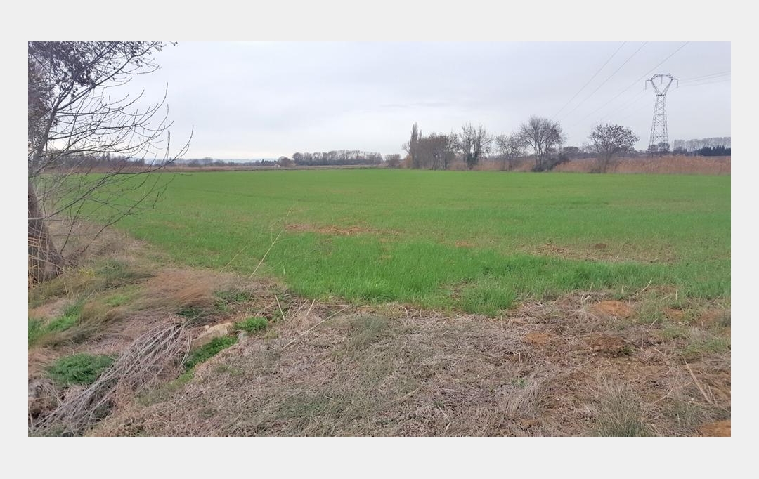 JANSANA IMMOBILIER : Ground | NARBONNE (11100) | 19 460 m2 | 45 000 € 