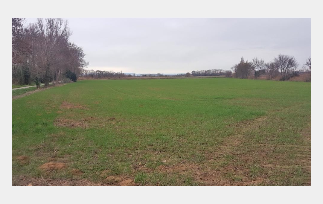 JANSANA IMMOBILIER : Ground | NARBONNE (11100) | 19 460 m2 | 45 000 € 