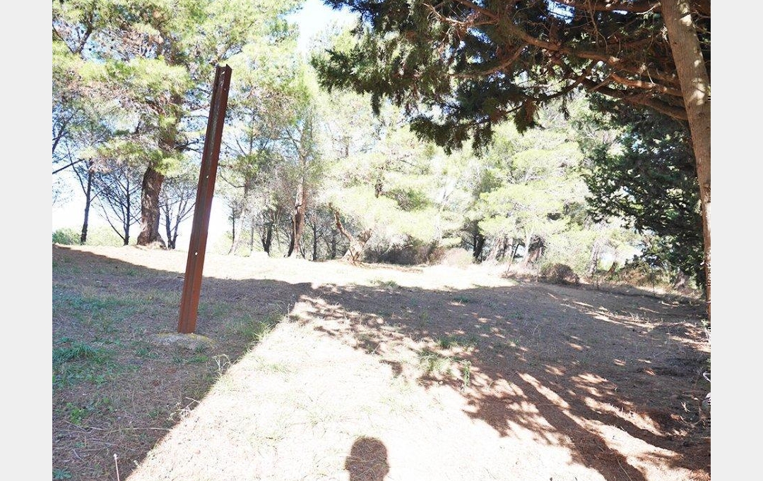 JANSANA IMMOBILIER : Maison / Villa | MONTSERET (11200) | 125 m2 | 159 000 € 