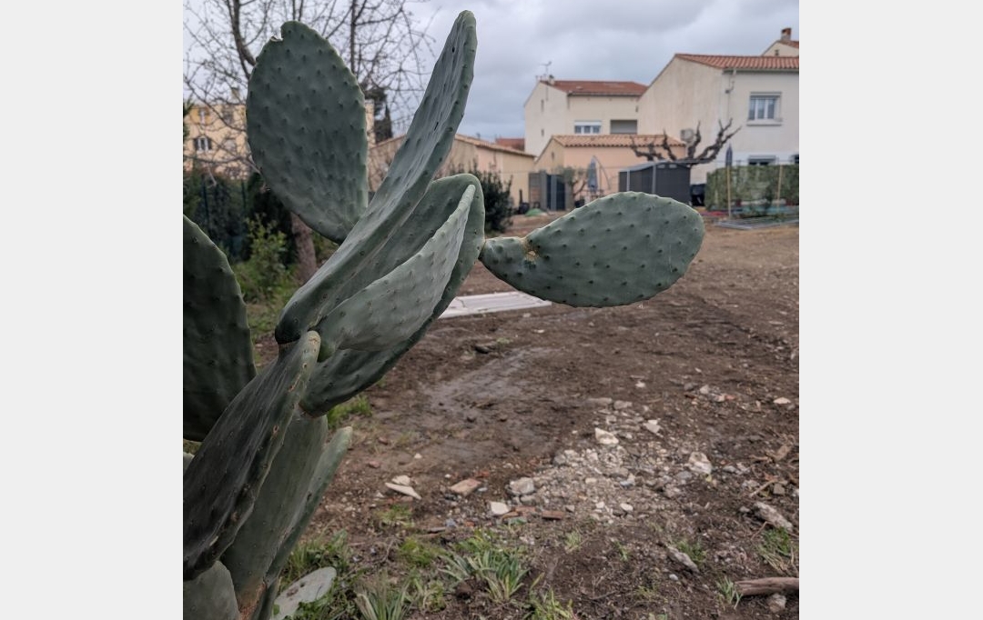 JANSANA IMMOBILIER : Terrain | NARBONNE (11100) | 0 m2 | 134 000 € 