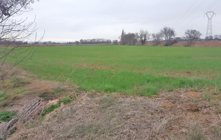  JANSANA IMMOBILIER Ground | NARBONNE (11100) | 19 460 m2 | 60 000 € 